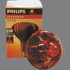 BOMBILLA PHILIPPS 250 W