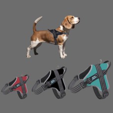 ARNES PERRO 25 mm*40-56 cm  BPS-3964